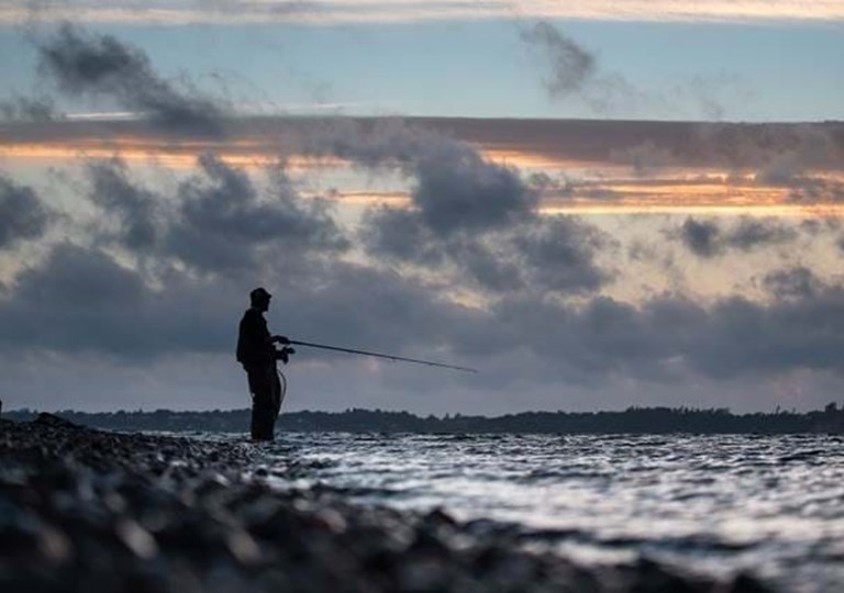 En lystfisker som står og fisker efter havørred i Limfjorden