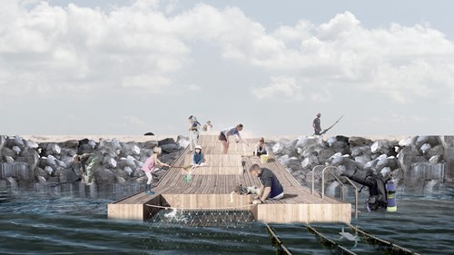 Visualisering fra JAJA Architects, der viser, hvordan fjordhaverne ved det kommende outdoorcenter på Glyngøre Havn kommer til at se ud.