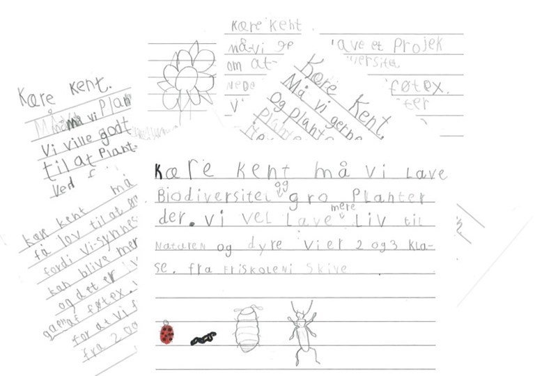Billede af nogle af de breve, som 2. og 3. klasse fra Friskolen i Skive har sendt til stadsgartner Kent Alex Larsen. 