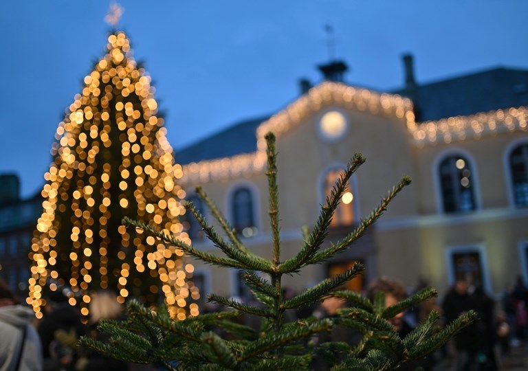 Tændt julelys på juletræ og Det Gamle Rådhus i Skive. Foto: Thomas Køser.